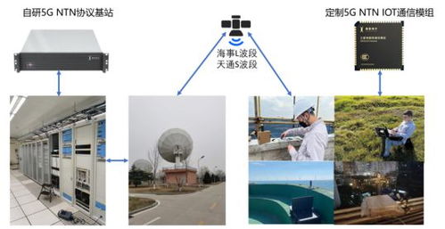 聚焦衛(wèi)星物聯(lián)網(wǎng)服務 這家浦東企業(yè)如何闖出一條發(fā)展新路